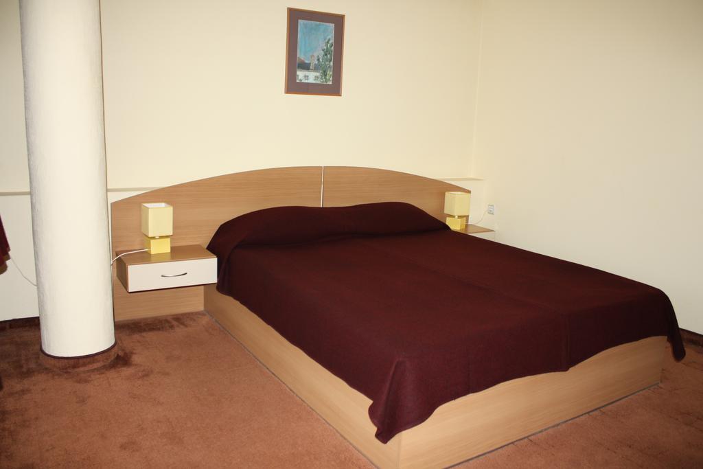 Hotel Of Bulgarian Academy Of Sciences Sofia Værelse billede